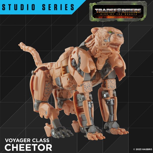 Official Image  Of Transformers Rise Of The Beasts Studio Series Cheetor Toy  (12 of 13)